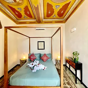 Corallini Luxury - Boke Cervo